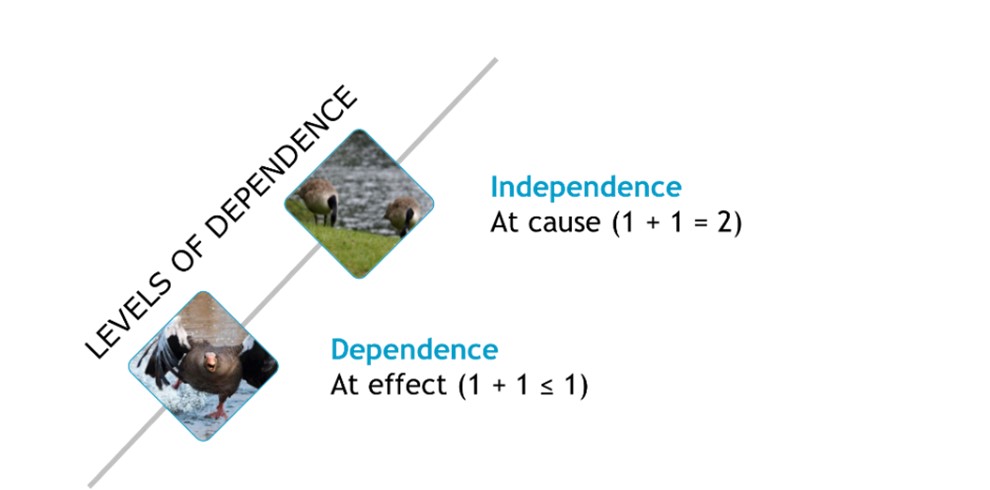 Levels of Dependence - Dependence - Independence - Pixabay images