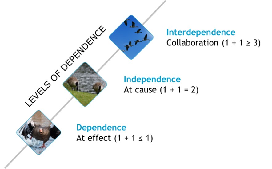 Levels of Dependence - Dependence - Independence - Interdependence - Pixabay images
