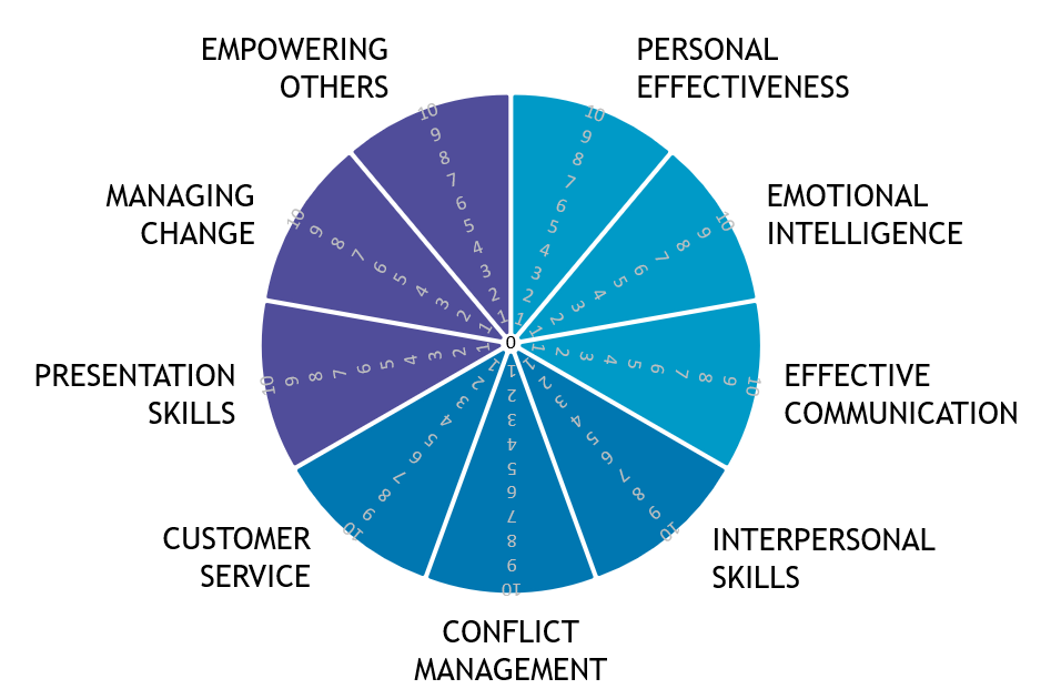 Wheel of Leadership in harmony - Balance - Leadership tip - Article - Professional Development
