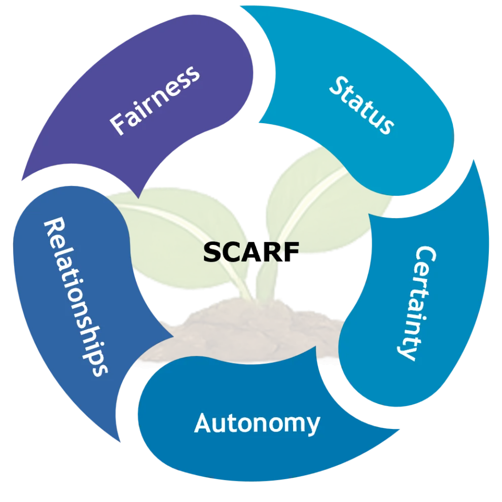 SCARF Diagram - Psychosocial Safety Workshop - Psychological Safety for Leaders - Group training